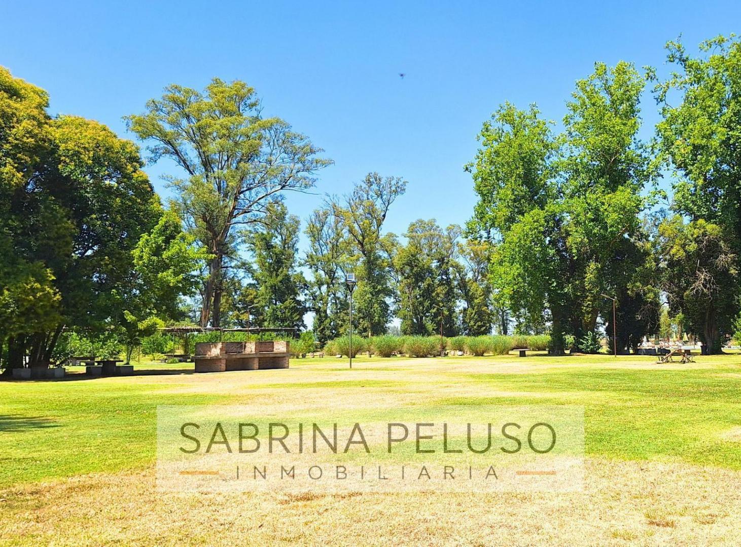 Foto de Venta Terreno tres pinos 3 pinos, imagen 4