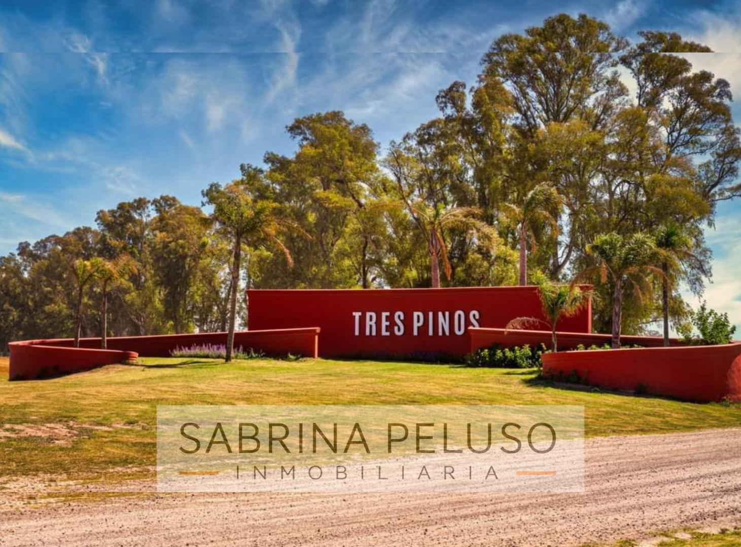 Foto de Venta Terreno tres pinos 3 pinos, imagen 2