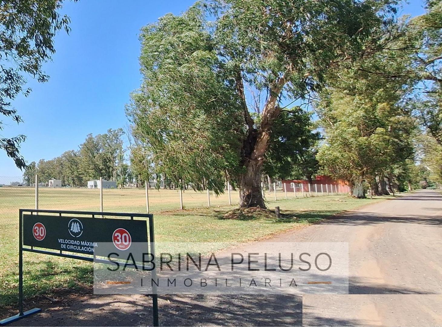 Foto de Venta Terreno tres pinos 3 pinos, imagen 1