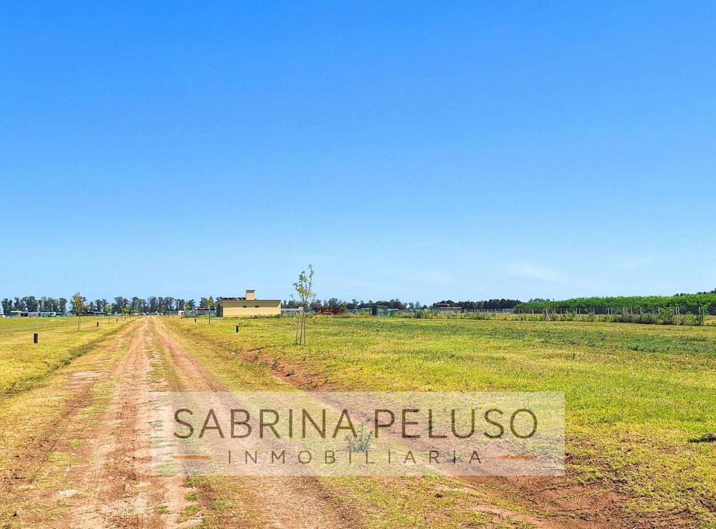 Foto de Venta Terreno tres pinos 3 pinos, imagen 3