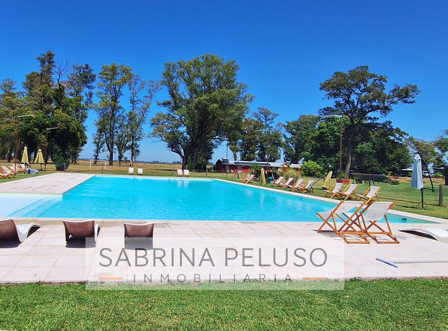 Foto de Venta Terreno tres pinos 3 pinos, imagen 5