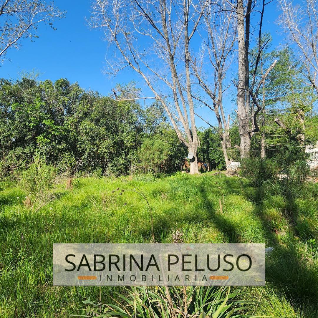 Foto de Terreno en venta en General Rodriguez, imagen 3