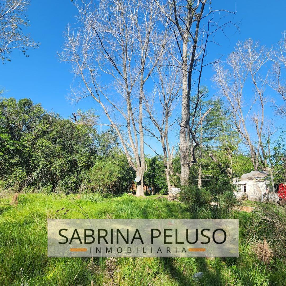 Foto de Terreno en venta en General Rodriguez, imagen 4