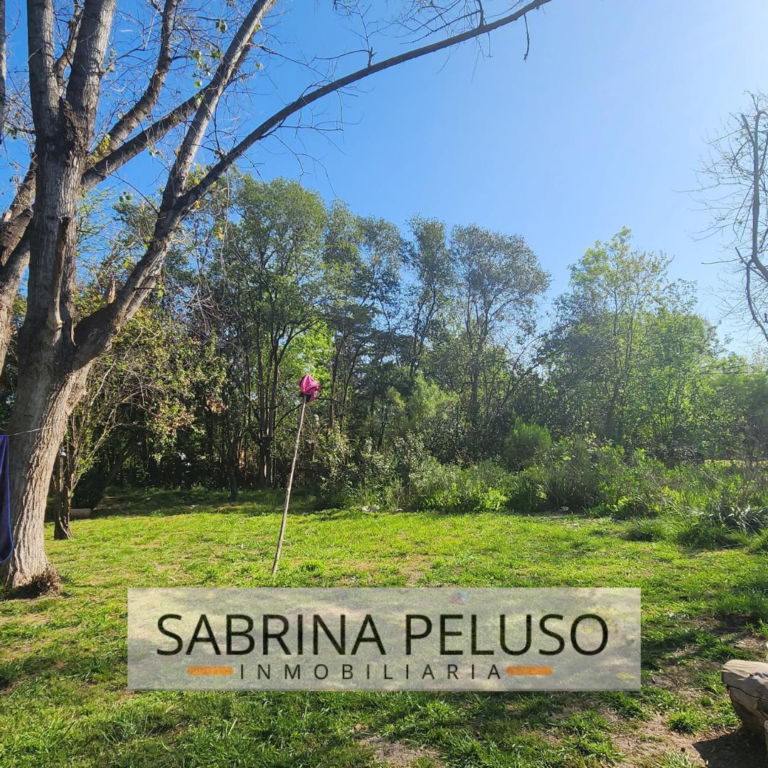 Foto de Terreno en venta en General Rodriguez, imagen 1