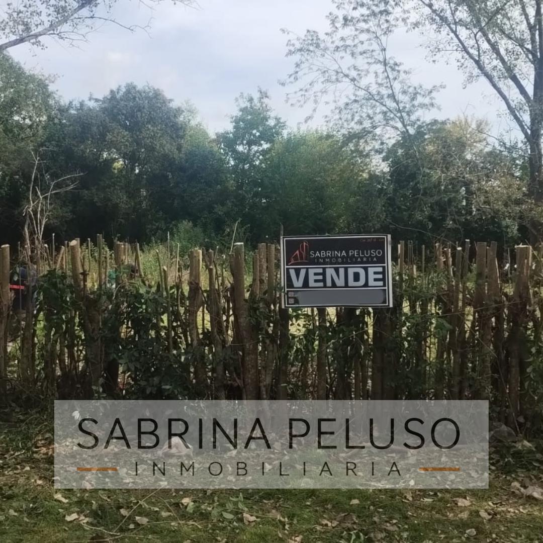 Foto de Terreno en venta en General Rodriguez, imagen 2