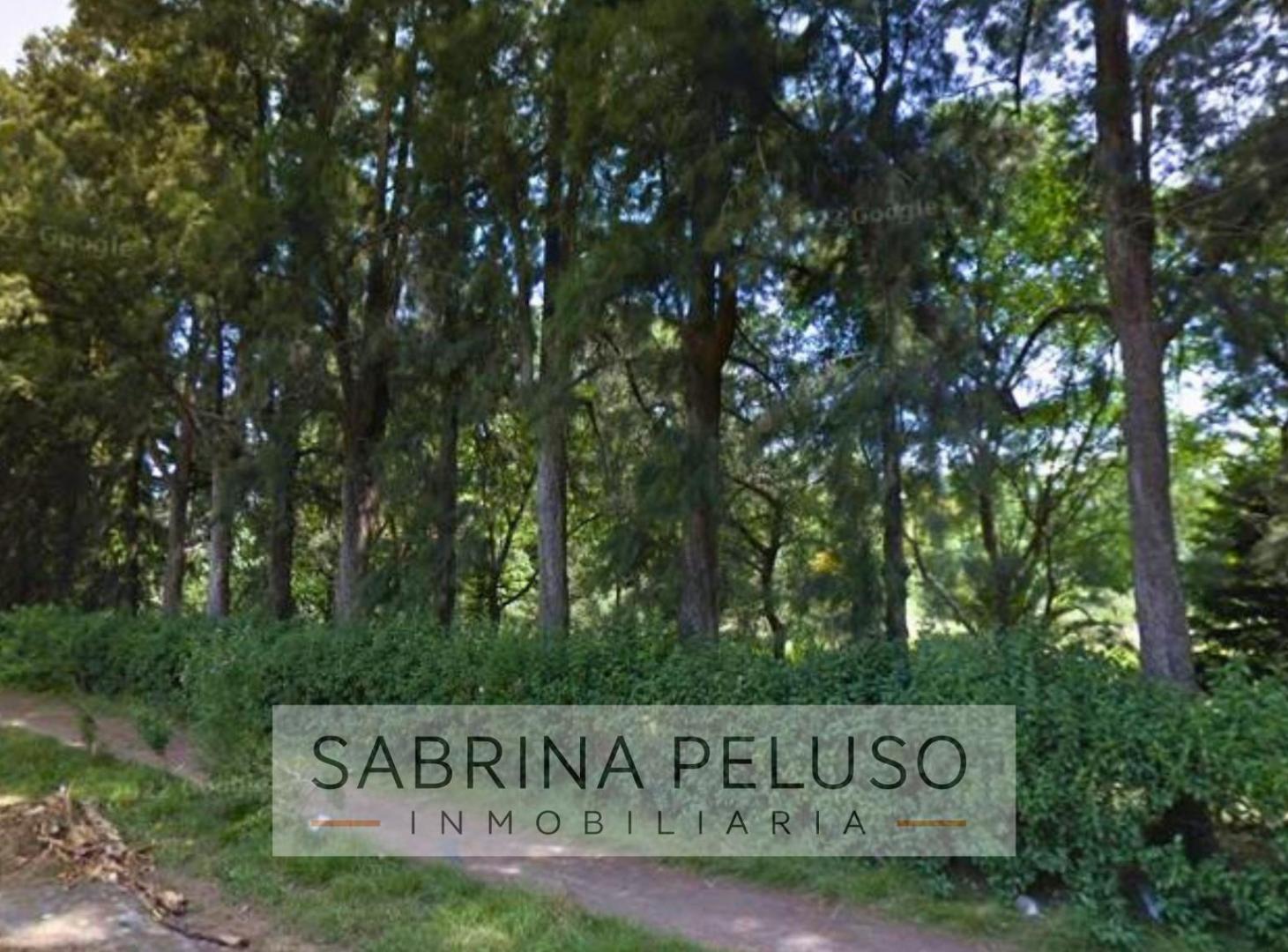 Foto de Venta Terreno Moreno La Reja, imagen 5