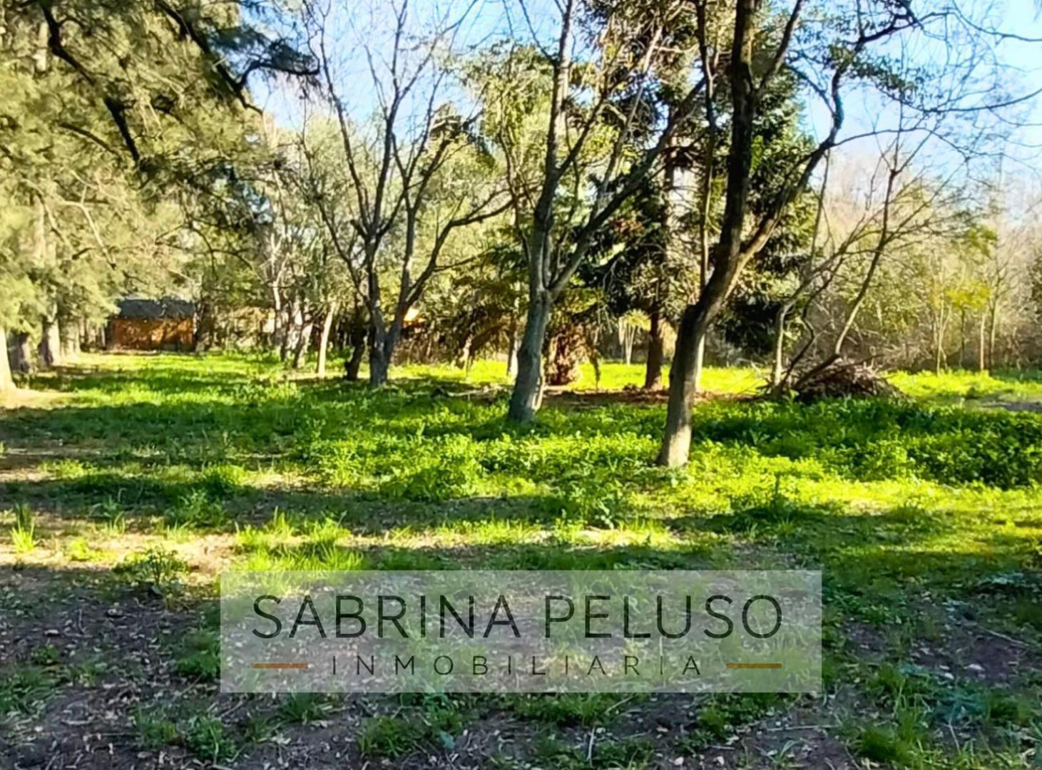 Foto de Venta Terreno Moreno La Reja, imagen 2