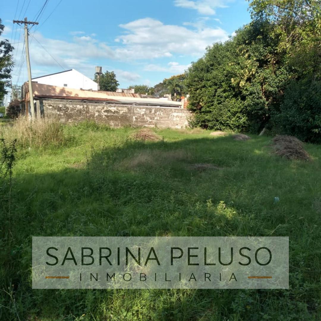 Foto de Lote esquina en Monte Caseros Corrientes, imagen 3