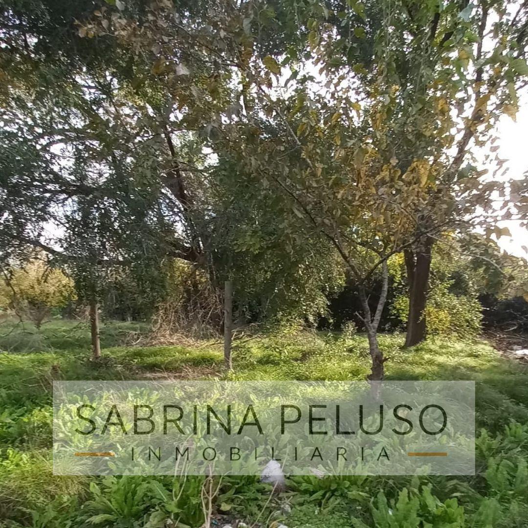 Foto de Venta Terreno en La Reja, imagen 1