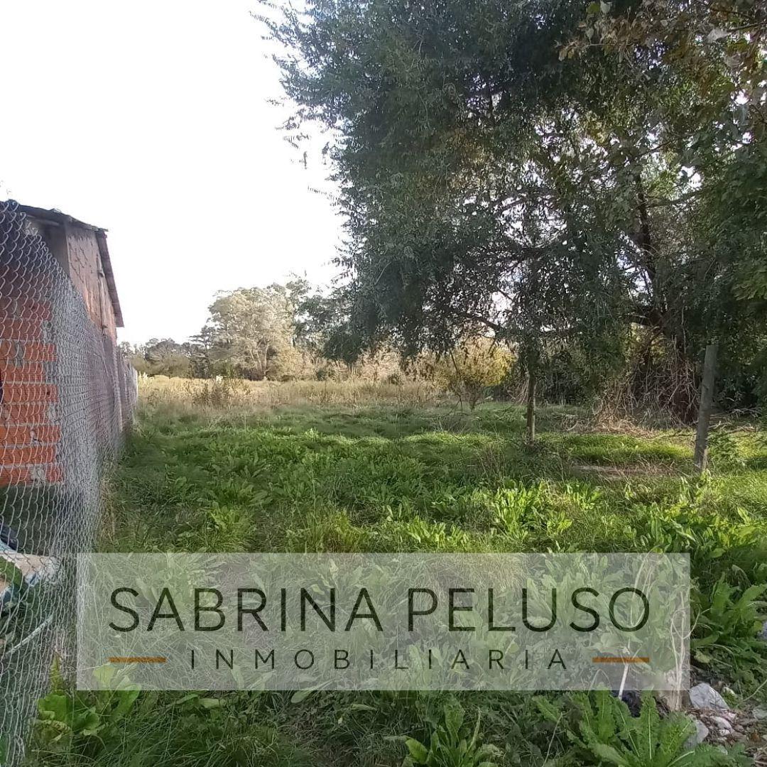 Foto de Venta Terreno en La Reja, imagen 2