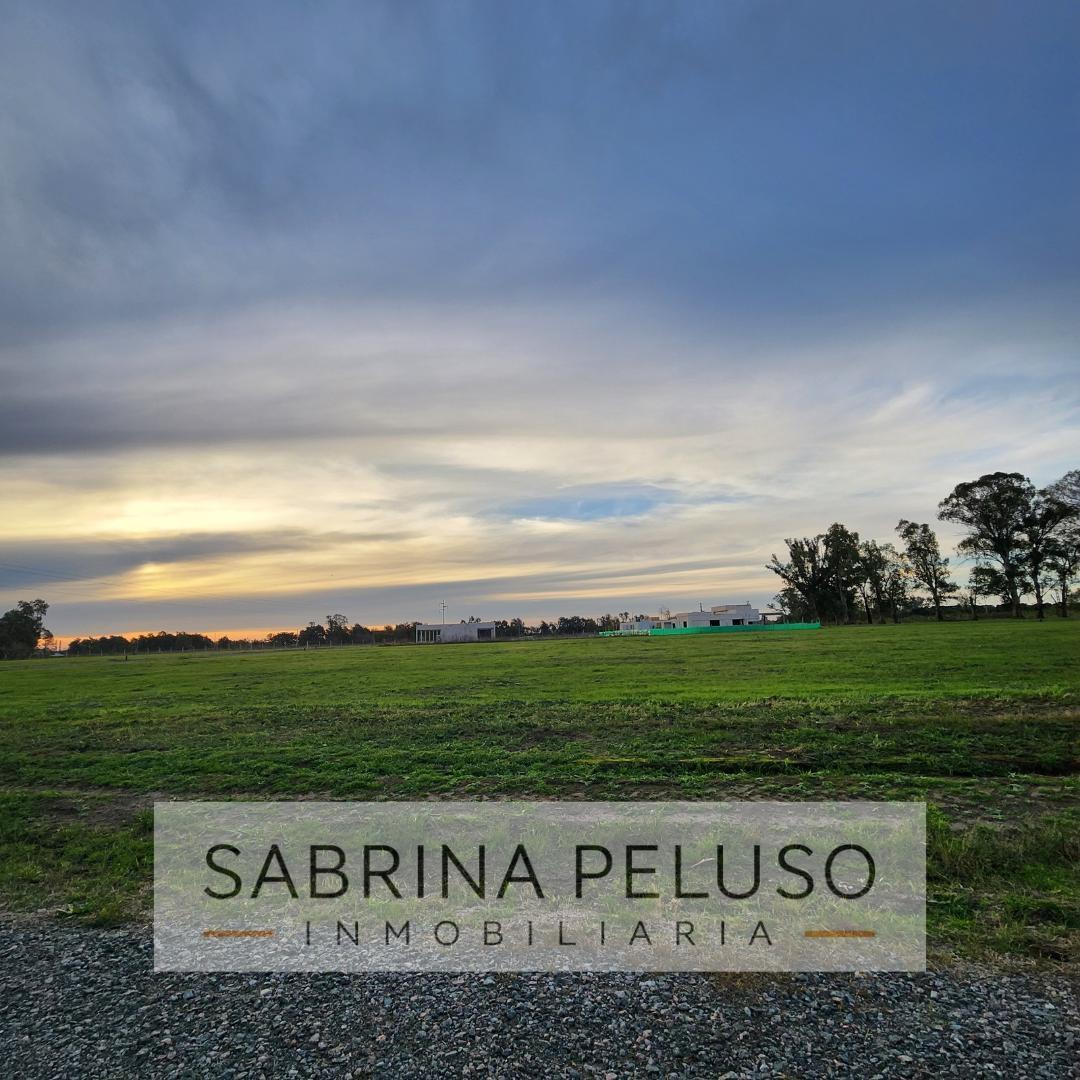 Foto de Terreno en venta, imagen 4