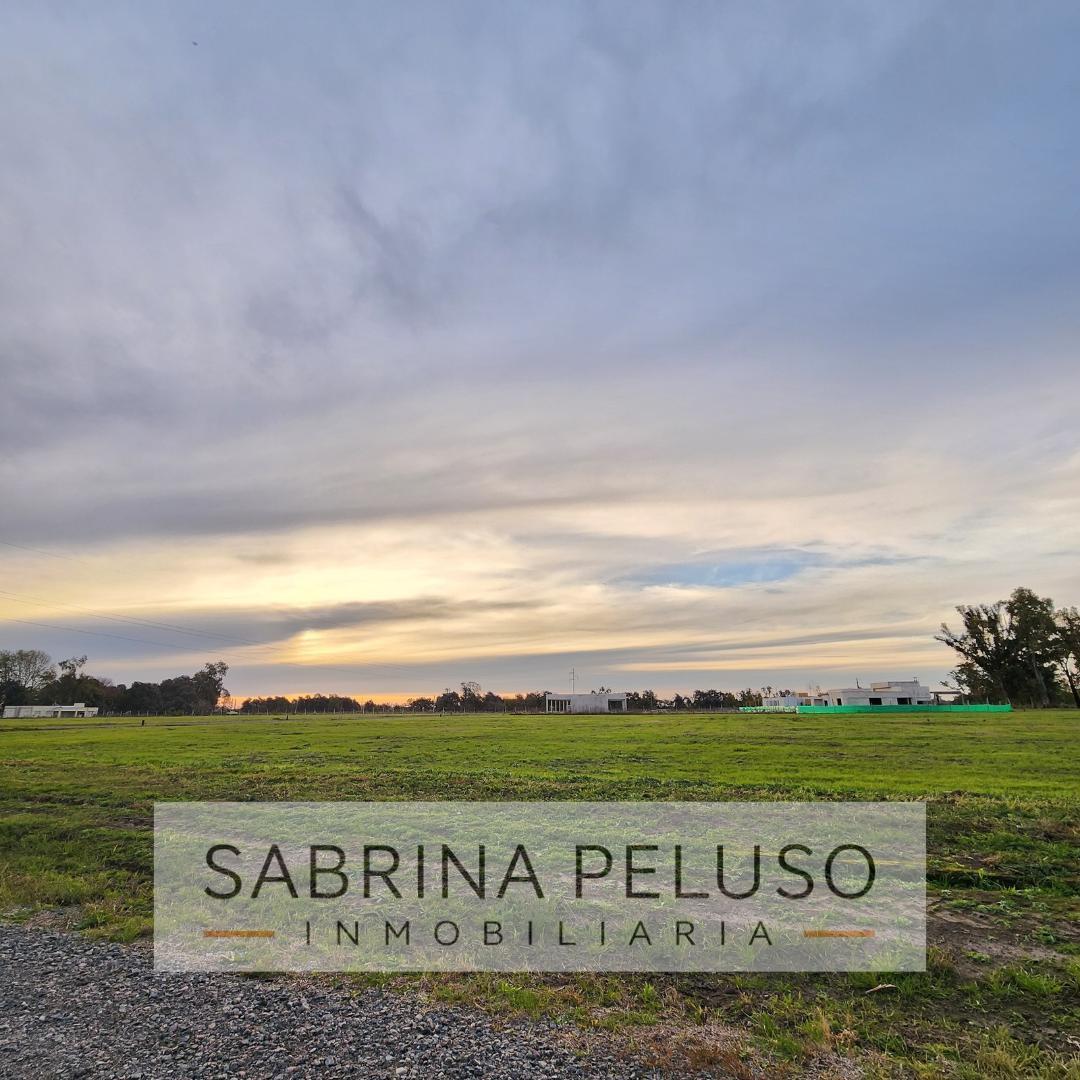 Foto de Terreno en venta, imagen 3