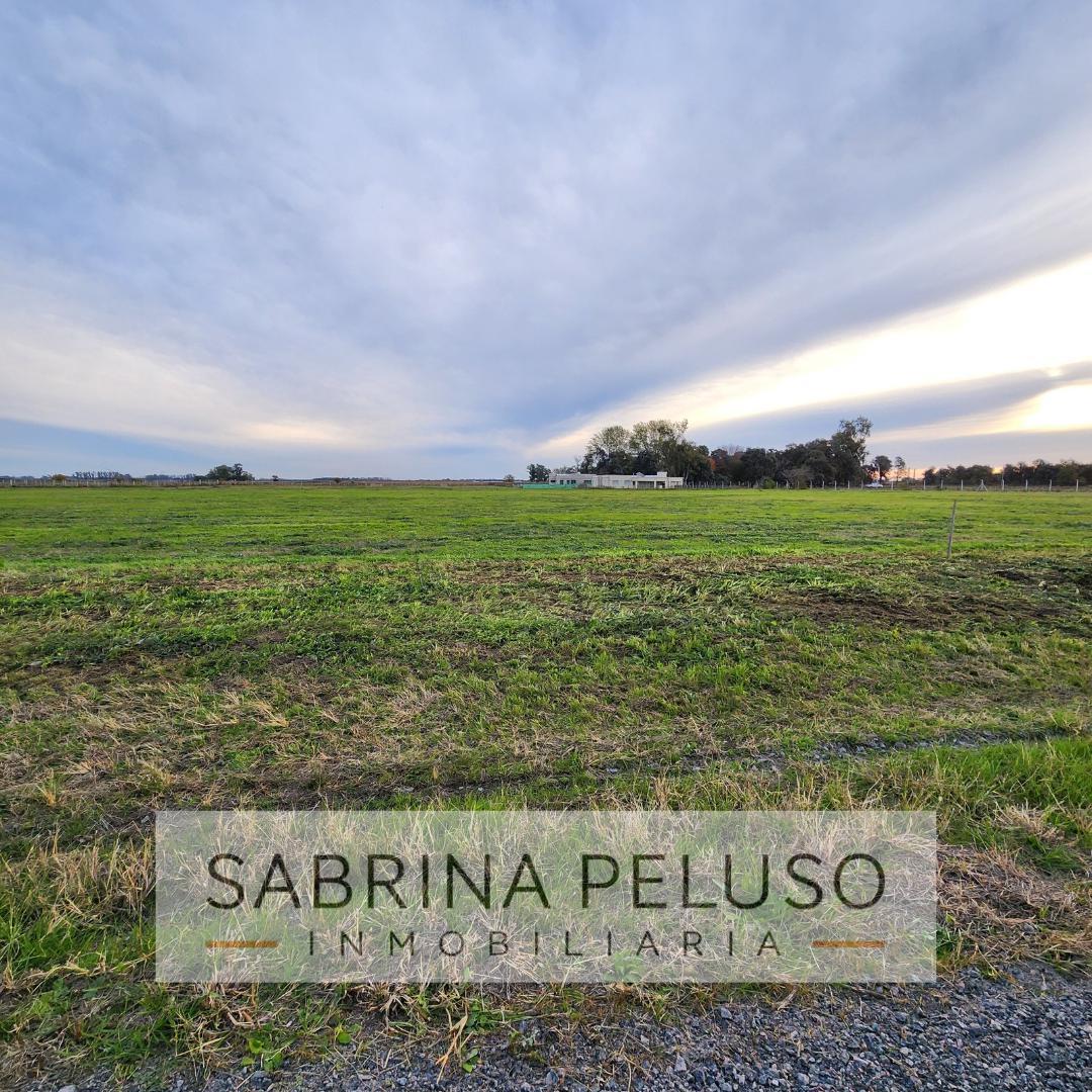 Foto de Terreno en venta, imagen 5