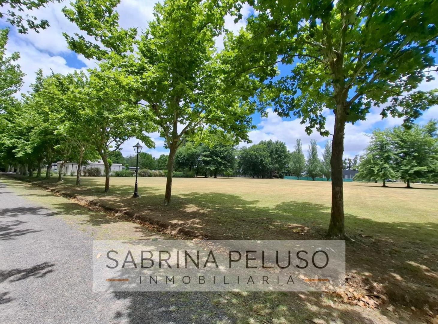 Foto de Venta Lote Haras del Sol, imagen 4