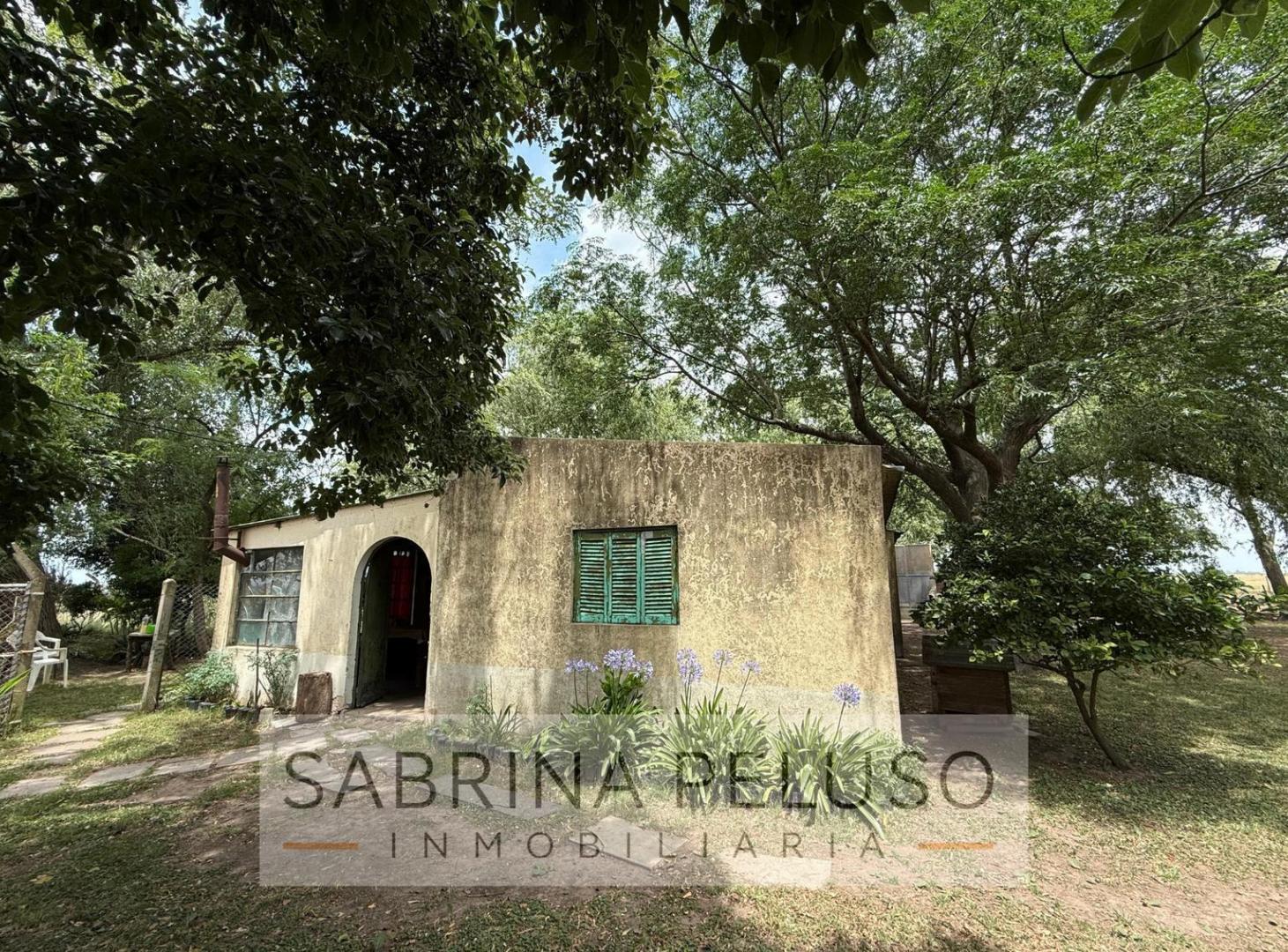 Foto de Campo en Cañuelas 178ha, imagen 4