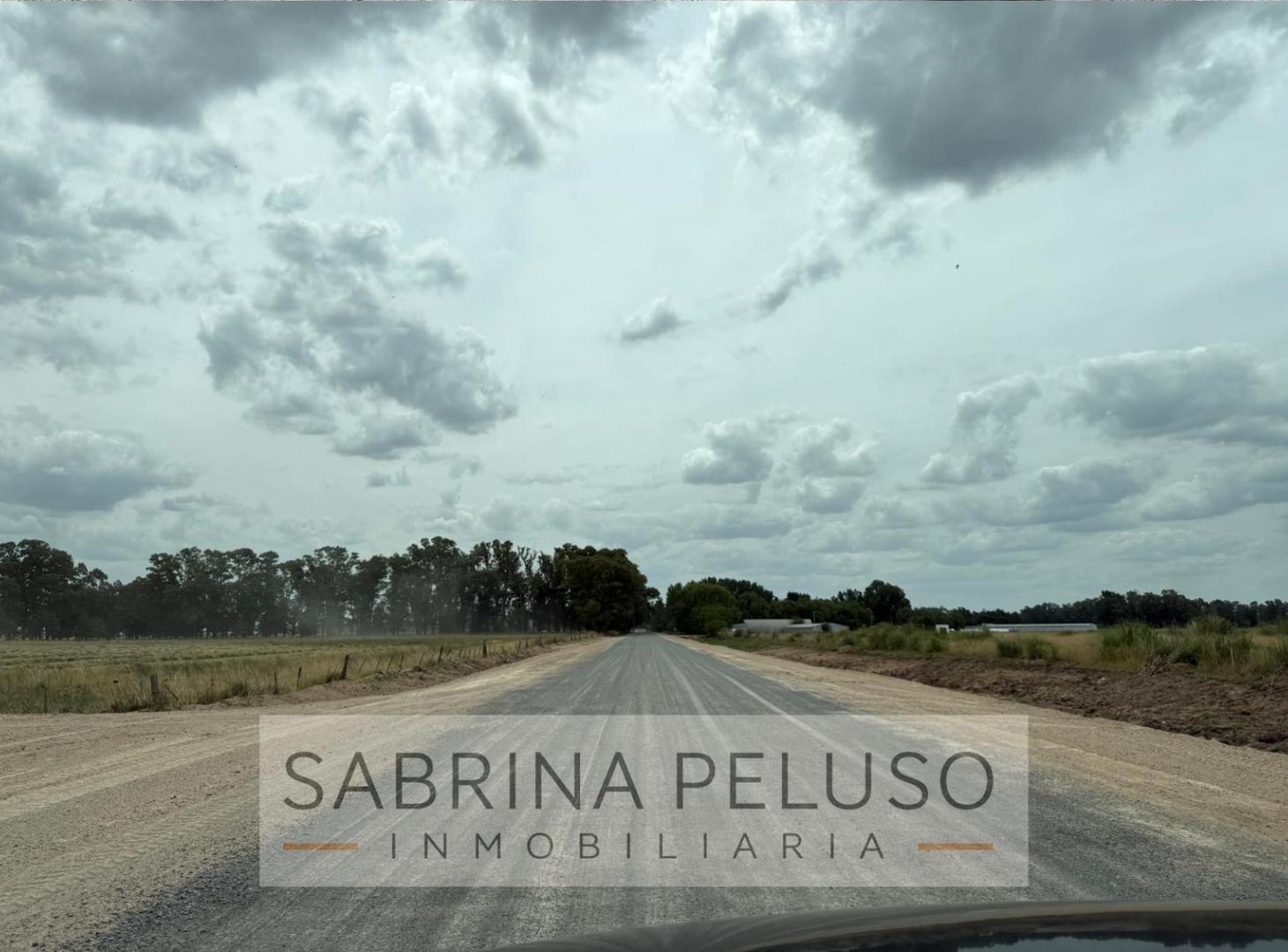 Foto de Campo en Cañuelas 178ha, imagen 1