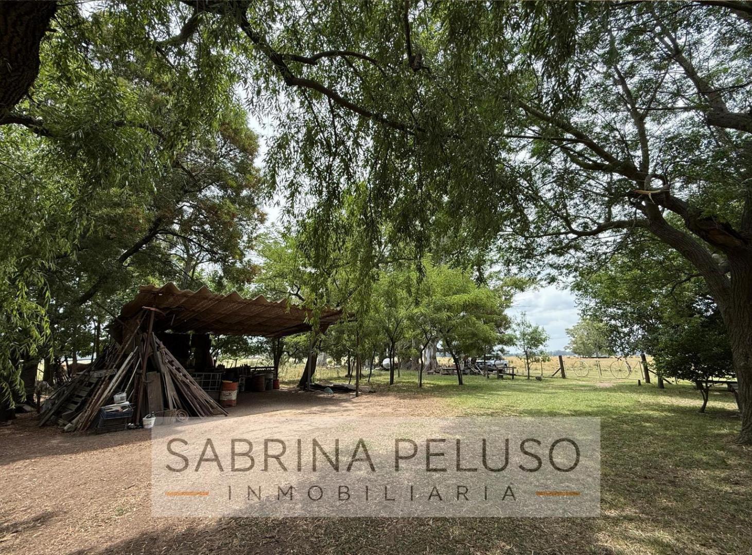 Foto de Campo en Cañuelas 178ha, imagen 3