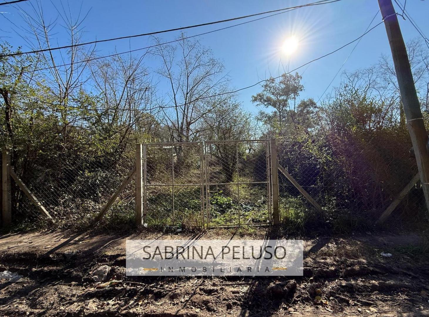 Foto de Terreno en venta en francisco alvarez, imagen 2