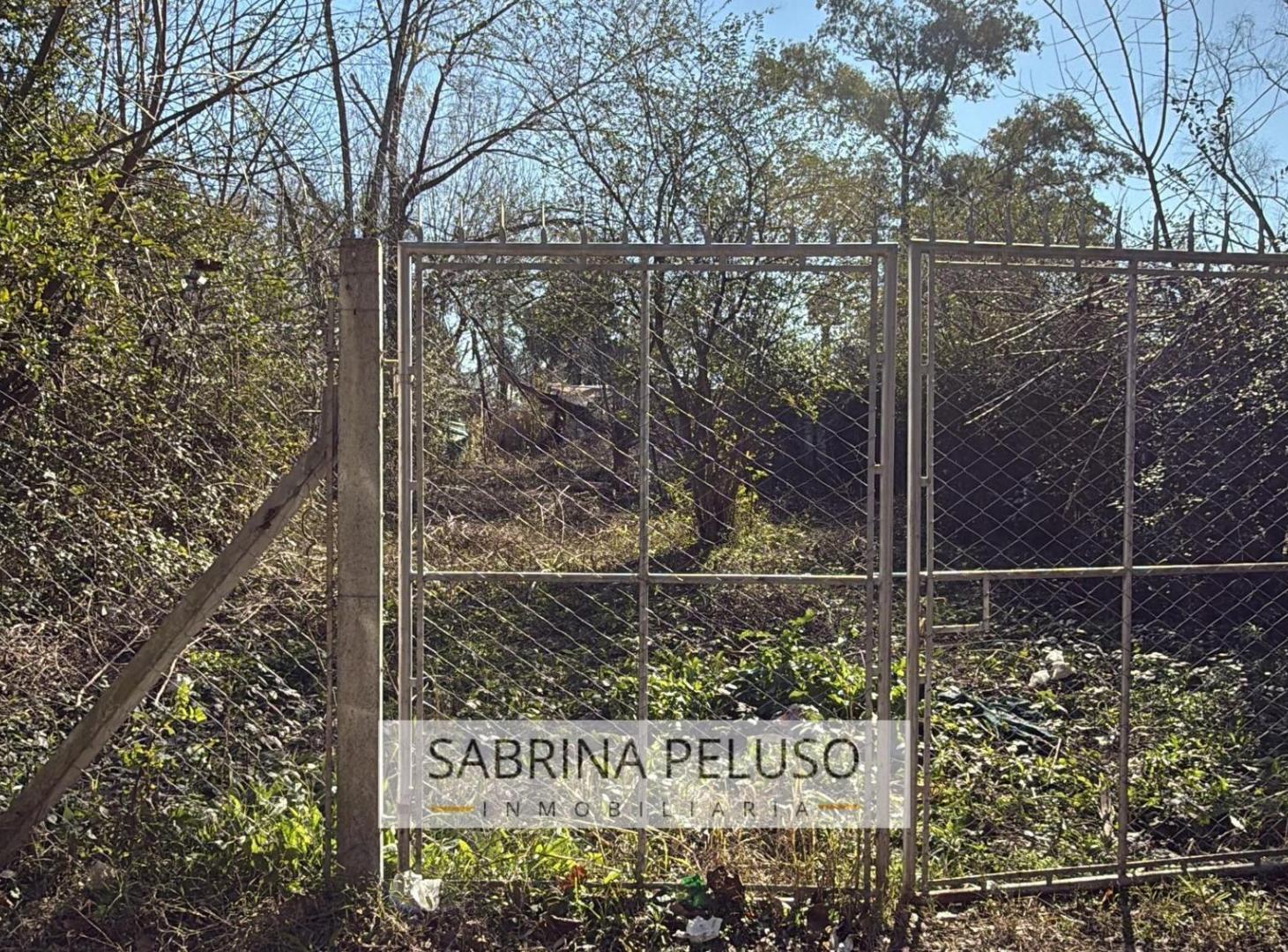 Foto de Terreno en venta en francisco alvarez, imagen 1