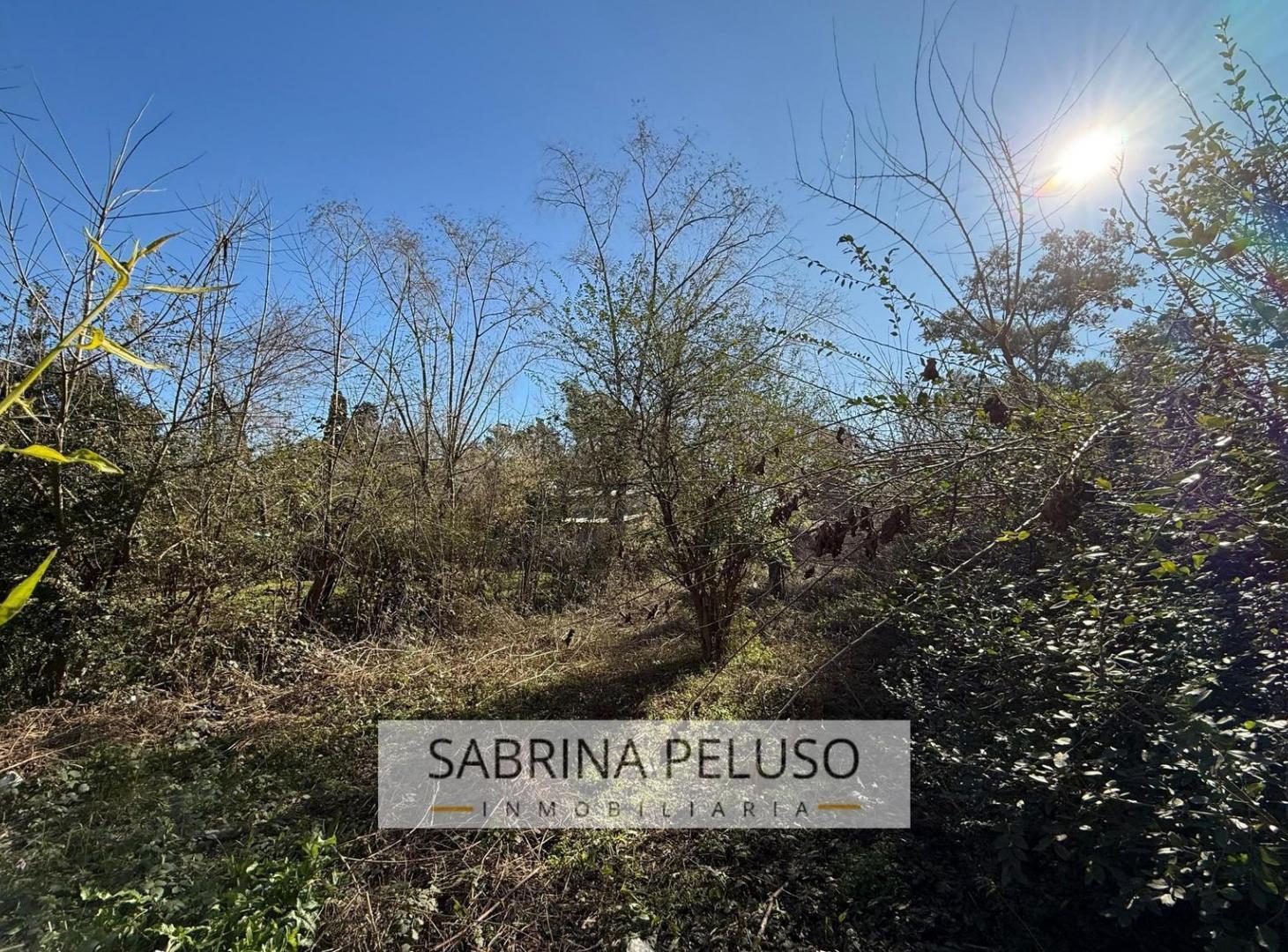 Foto de Terreno en venta en francisco alvarez, imagen 3