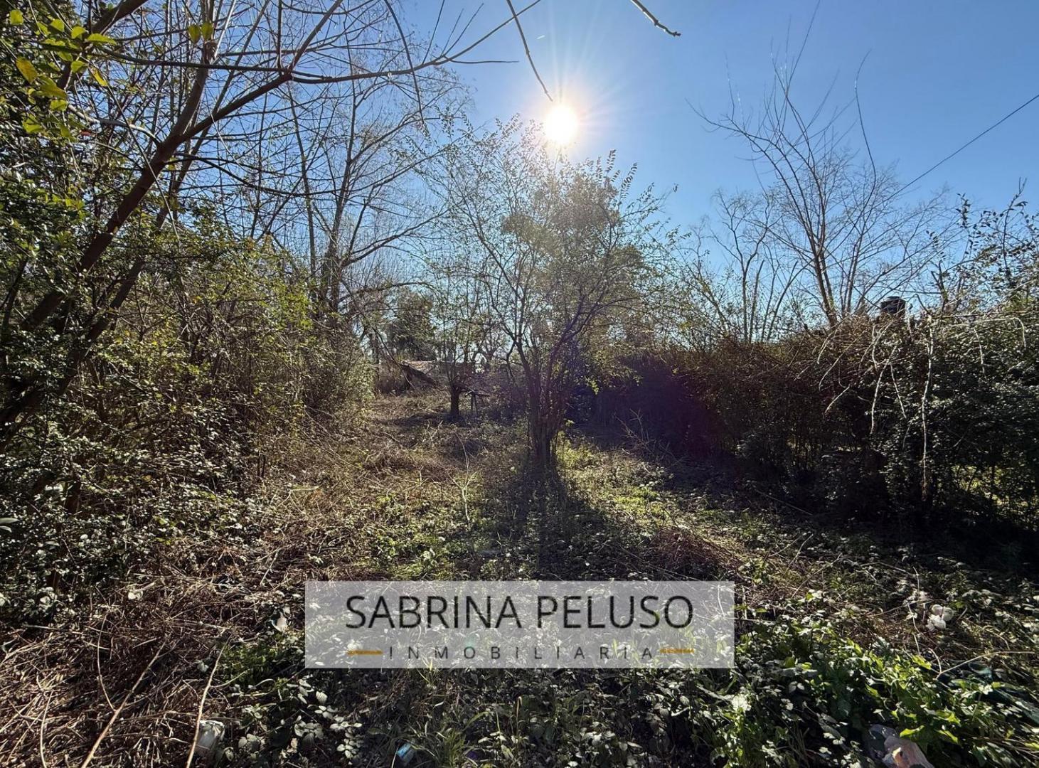 Foto de Terreno en venta en francisco alvarez, imagen 5