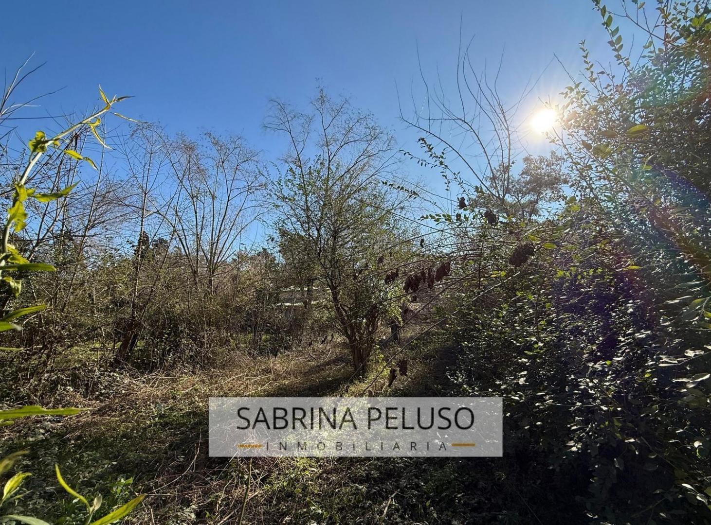 Foto de Terreno en venta en francisco alvarez, imagen 4