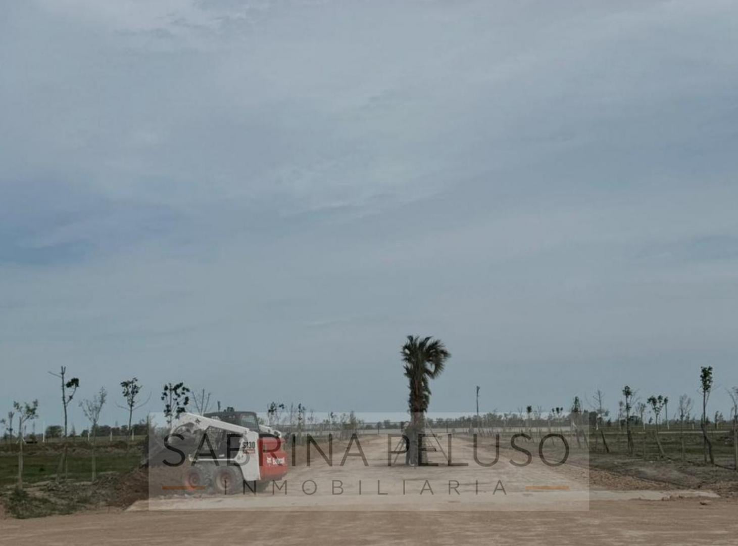 Foto de Terreno en Plomer, imagen 1