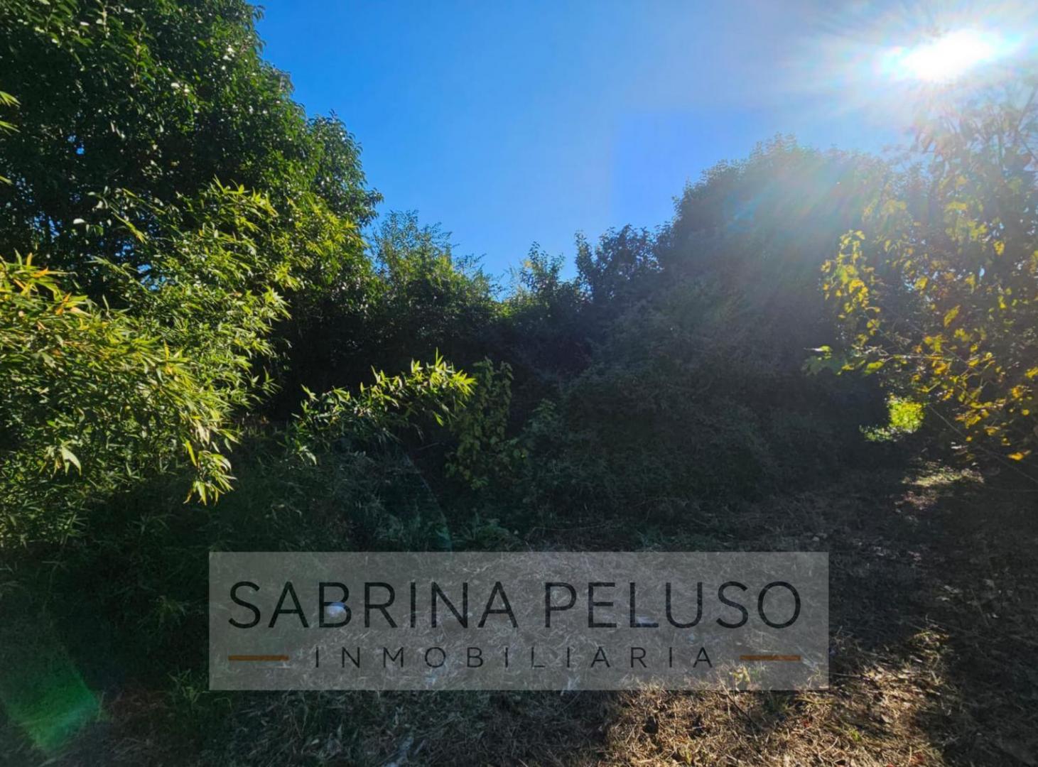 Foto de Terreno en venta en Luján, imagen 1