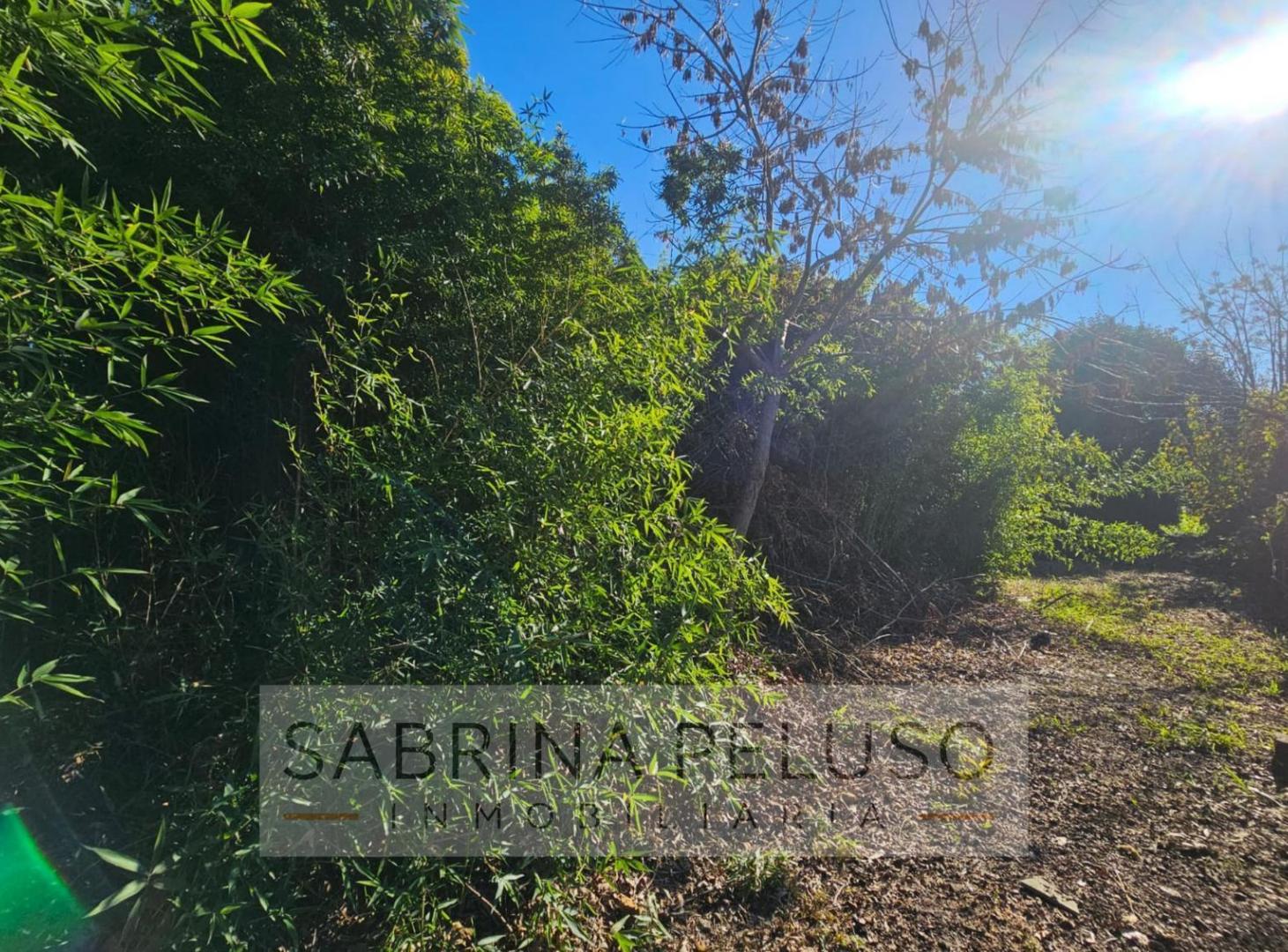 Foto de Terreno en venta en Luján, imagen 5