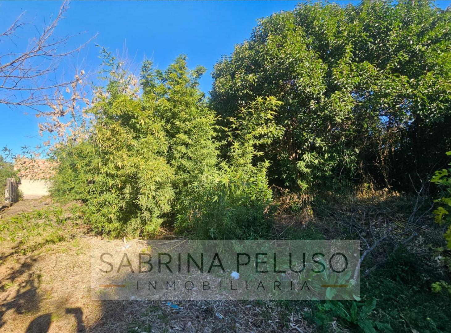 Foto de Terreno en venta en Luján, imagen 4