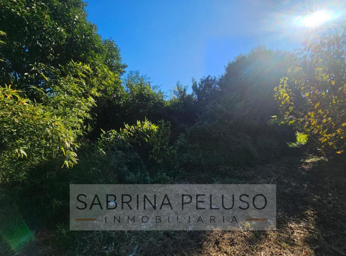 Foto de Terreno en venta en Luján, imagen 2