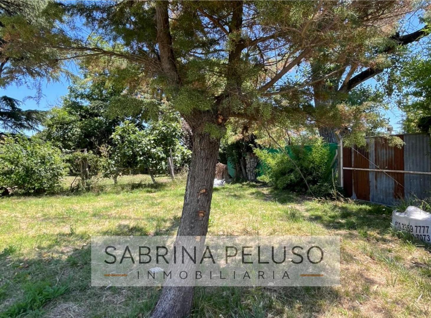 Foto de venta terreno La Reja, imagen 3