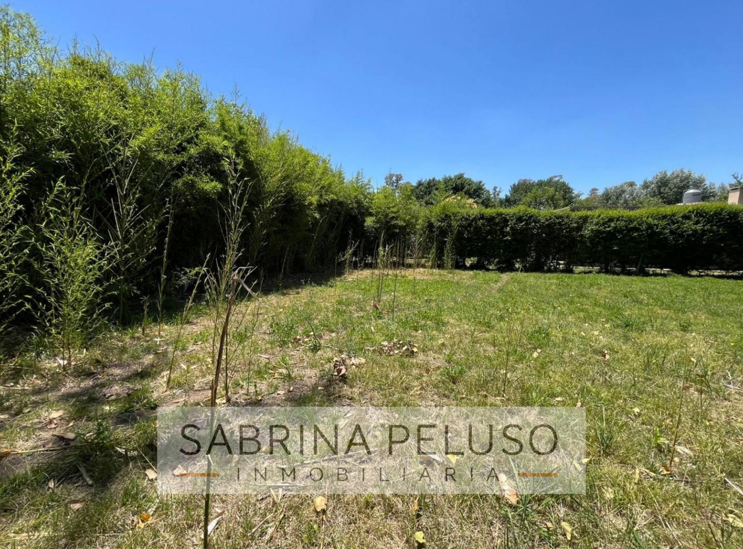 Foto de venta terreno La Reja, imagen 5