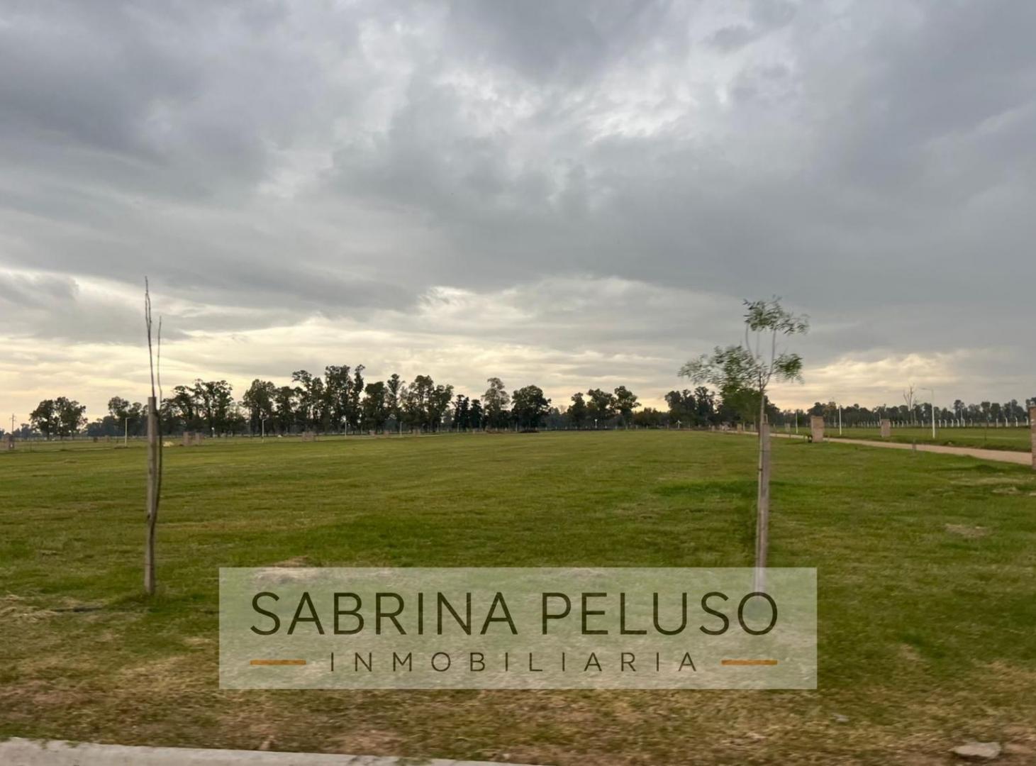 Foto de lote venta plomer, imagen 4