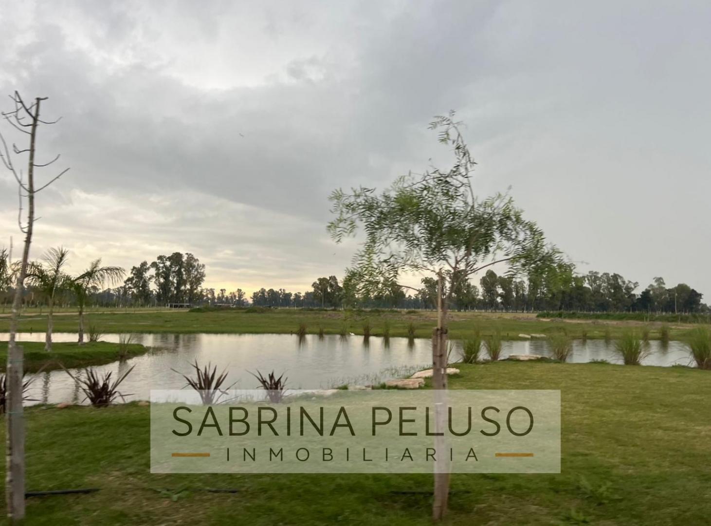 Foto de lote venta plomer, imagen 5