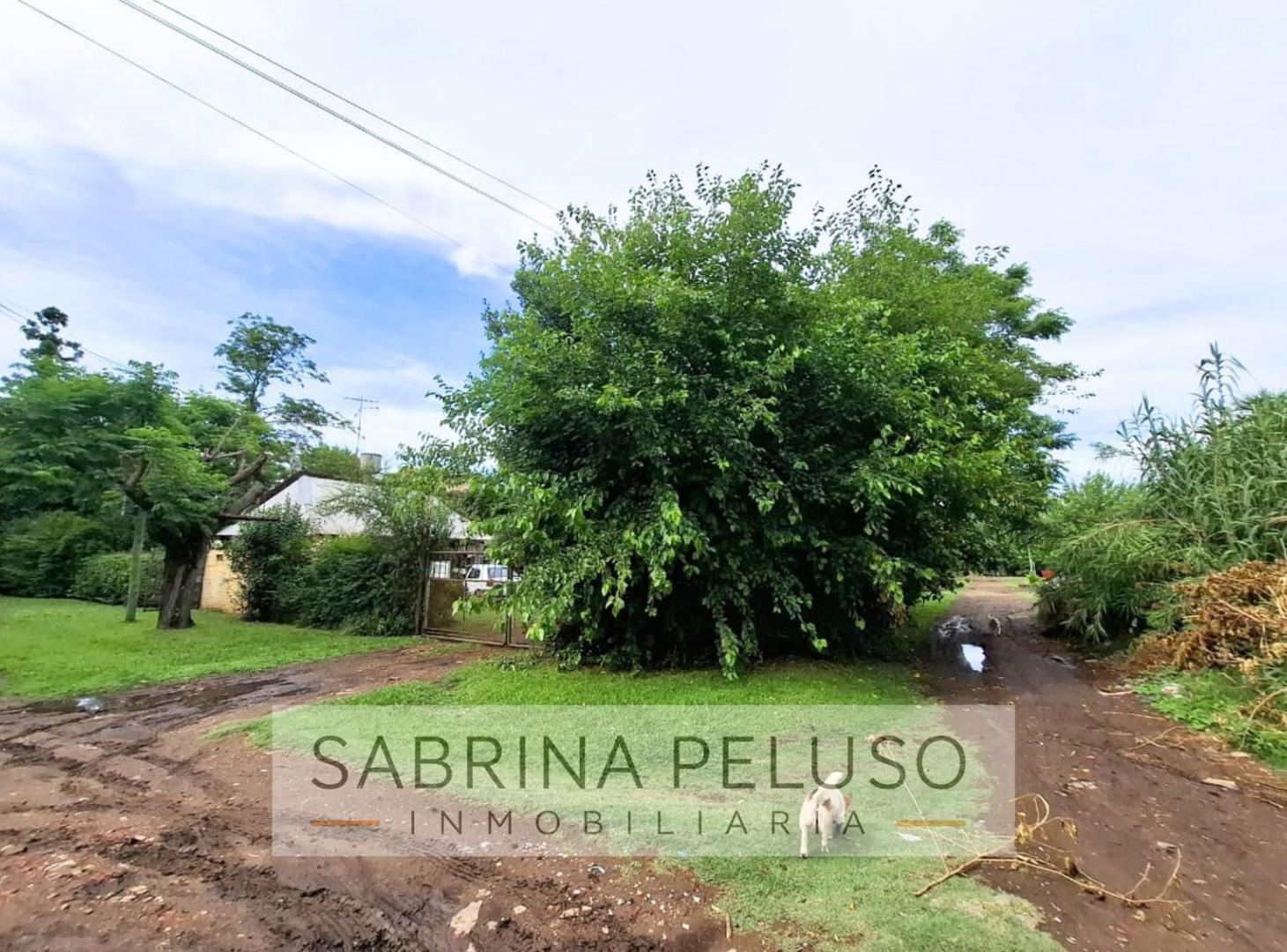 Foto de Terreno en General Rodriguez, imagen 2