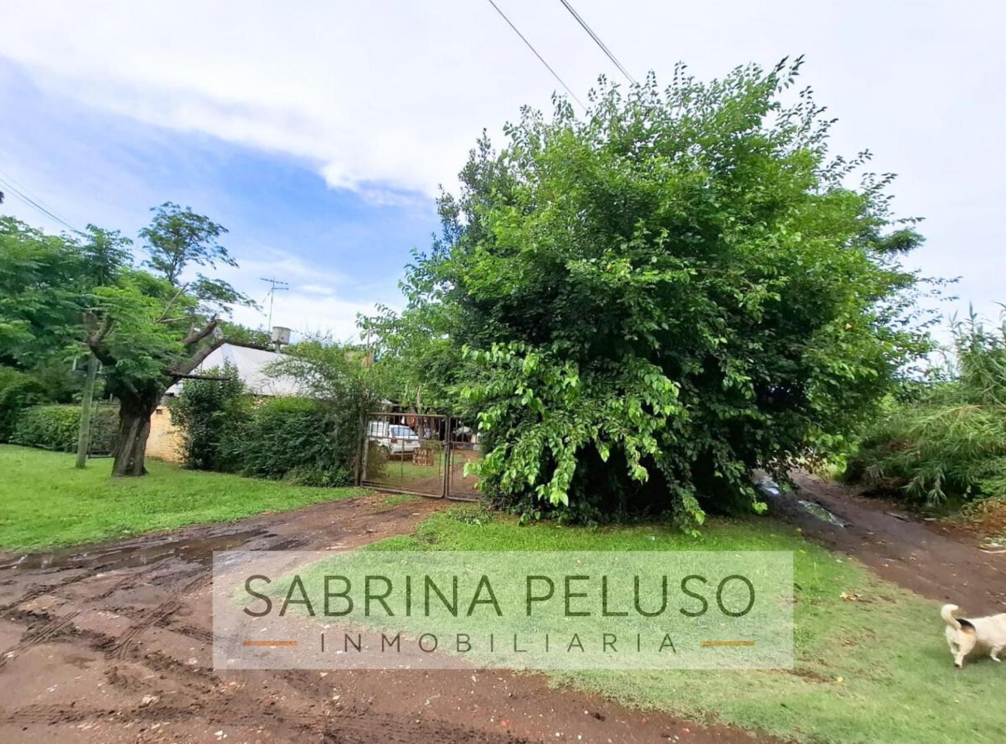 Foto de Terreno en General Rodriguez, imagen 1