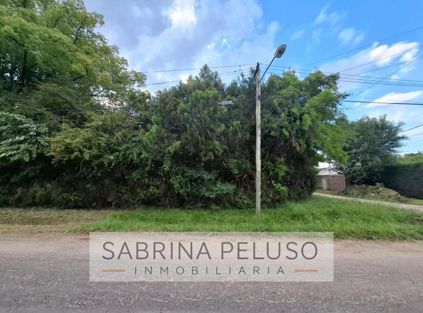 Foto de Venta Quinta La Reja, imagen 2