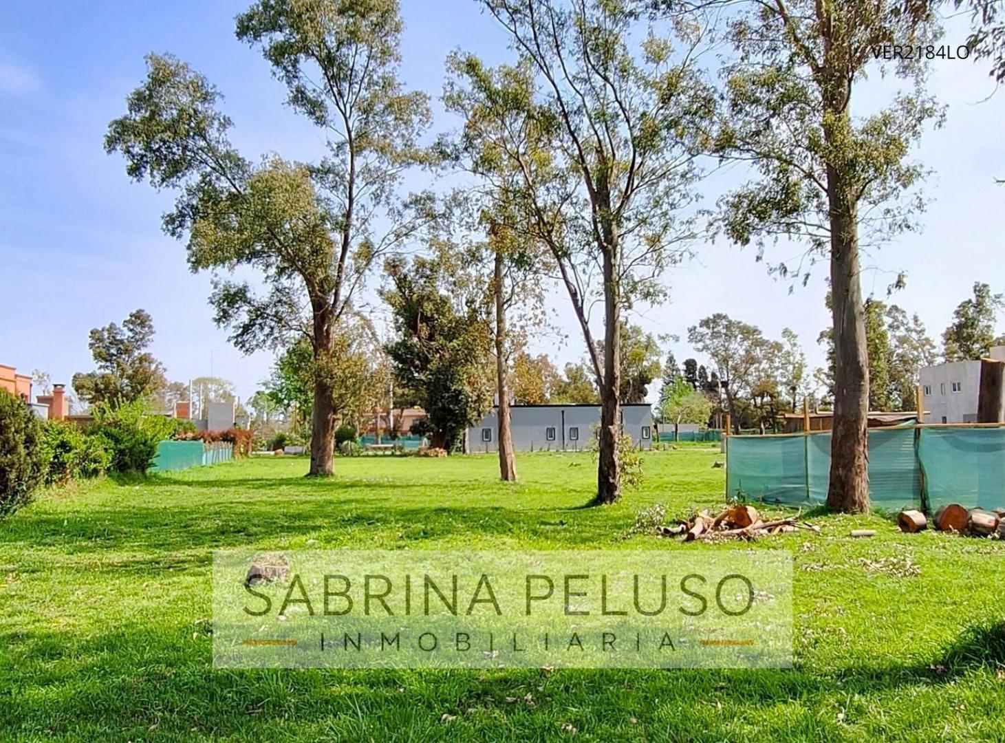 Foto de VENTA TERRENO ALVAREZ DEL BOSQUE, imagen 4
