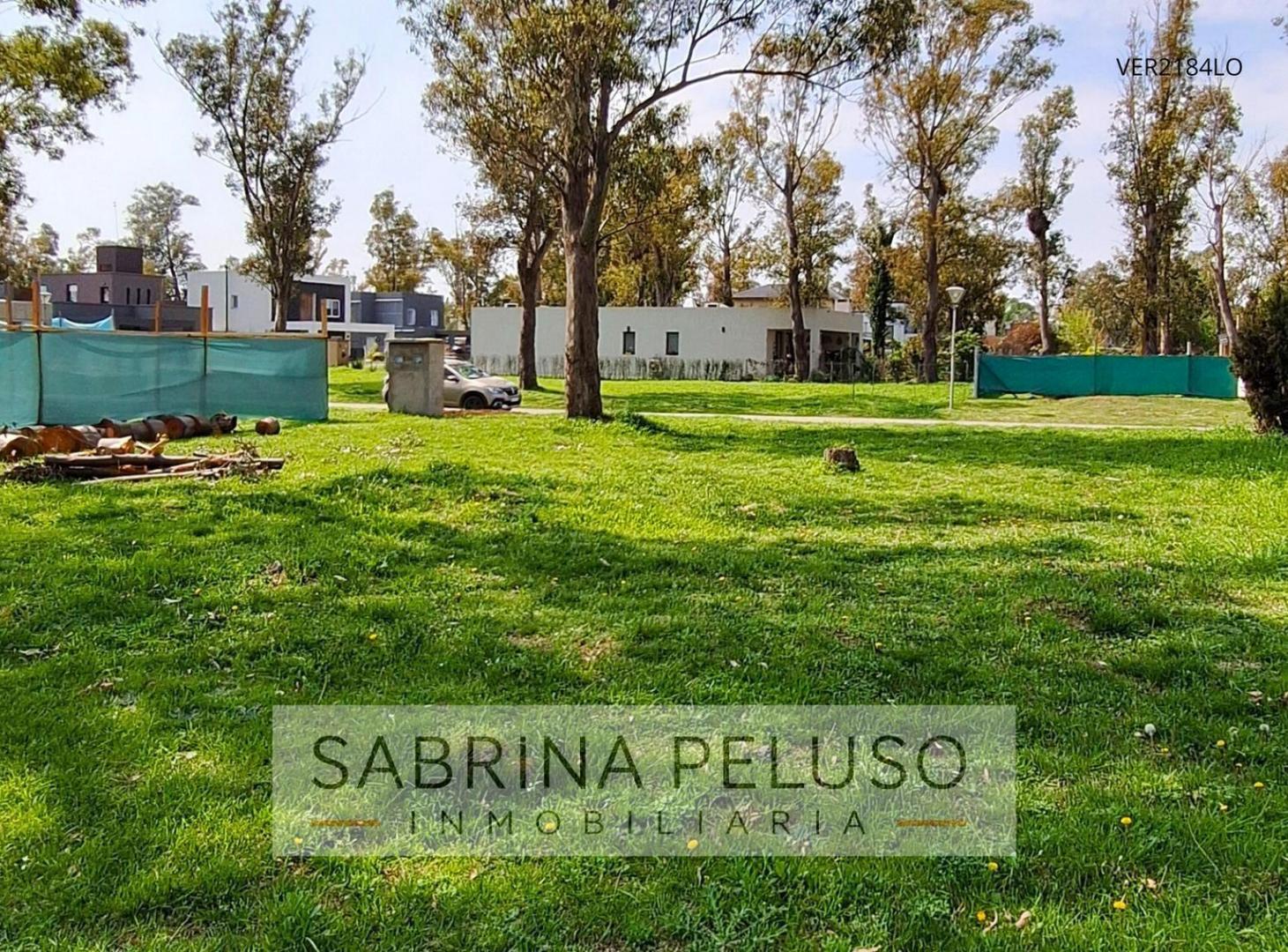 Foto de VENTA TERRENO ALVAREZ DEL BOSQUE, imagen 3