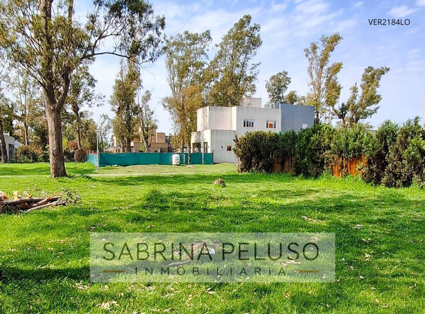 Foto de VENTA TERRENO ALVAREZ DEL BOSQUE, imagen 2