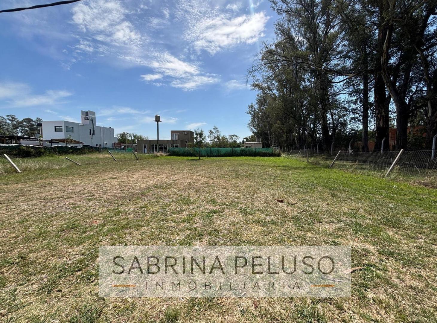 Foto de Terreno en Venta Altos de Viedma, imagen 4