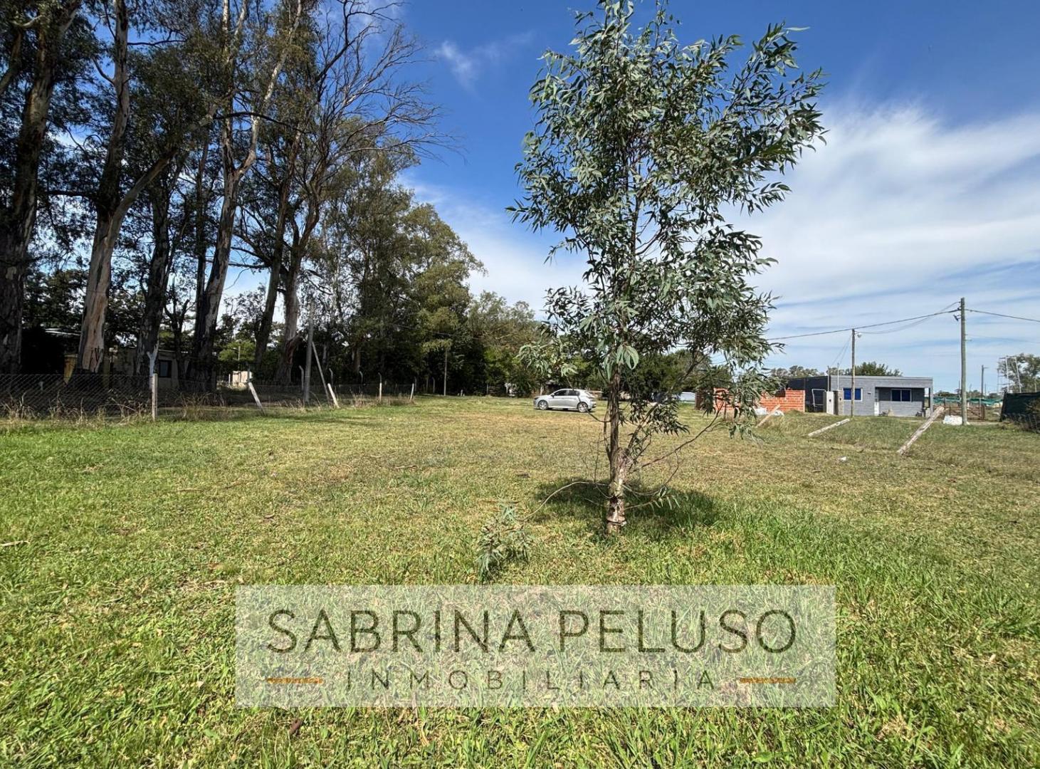 Foto de Terreno en Venta Altos de Viedma, imagen 1