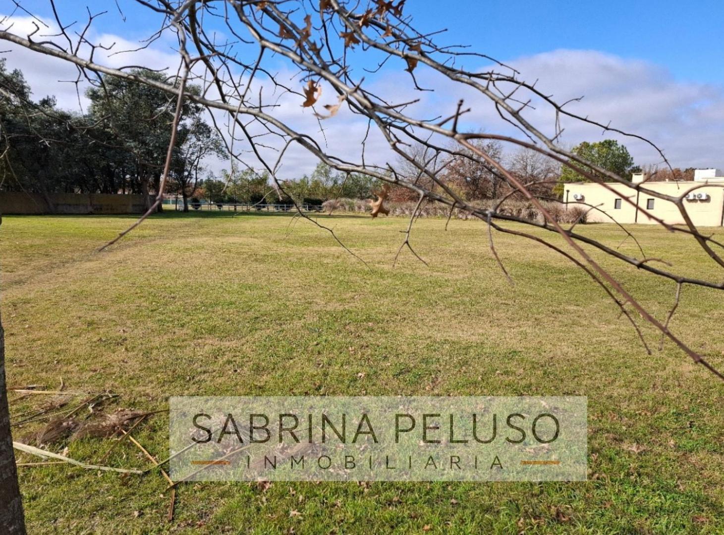Foto de Terreno en Pilar, imagen 5