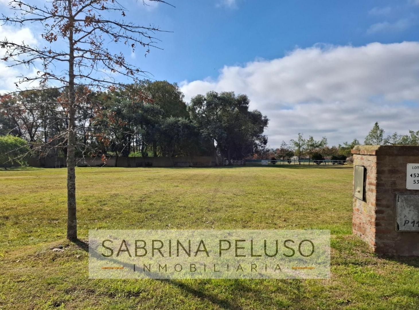 Foto de Terreno en Pilar, imagen 4