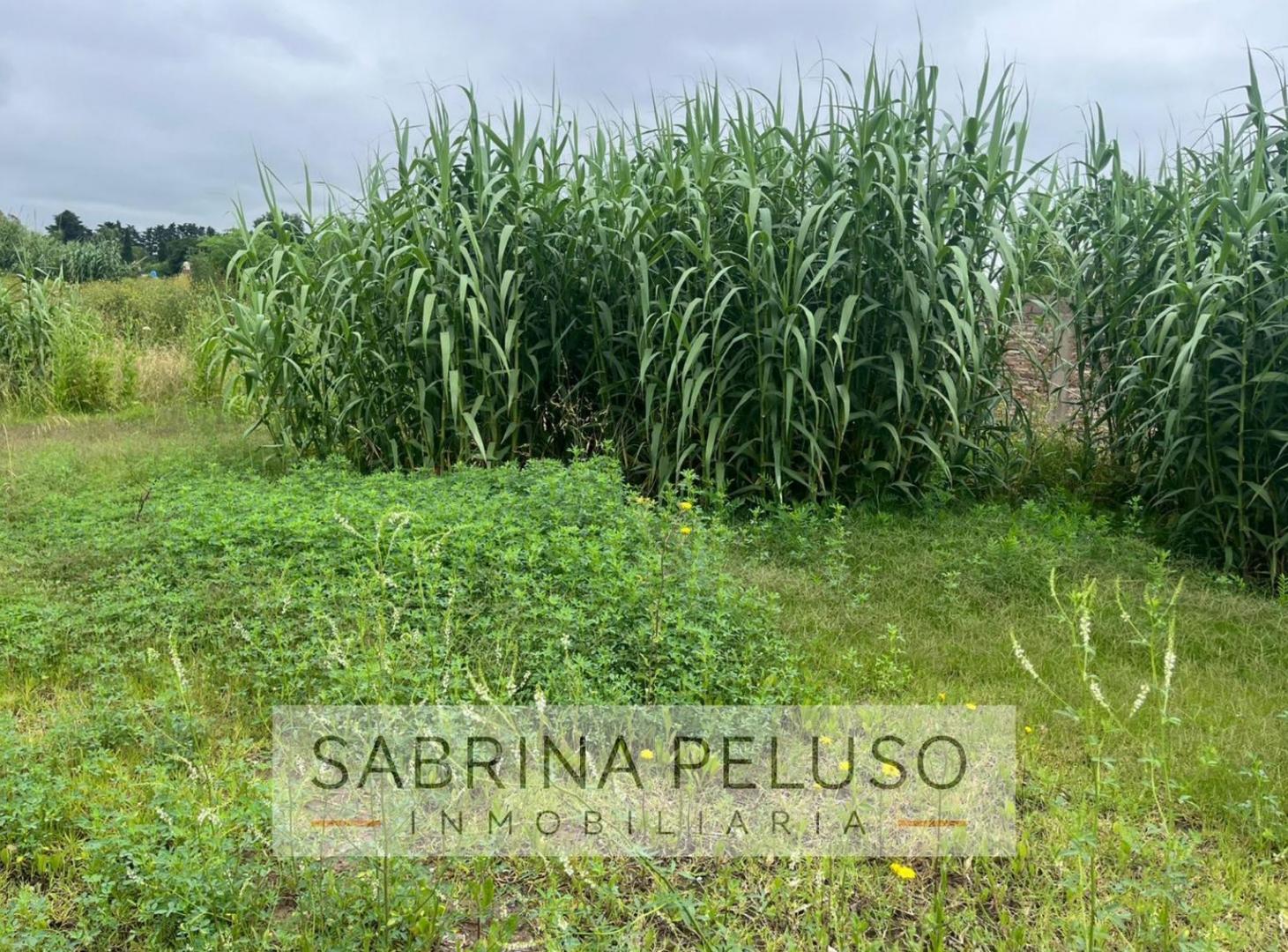 Foto de terreno venta moreno, imagen 5