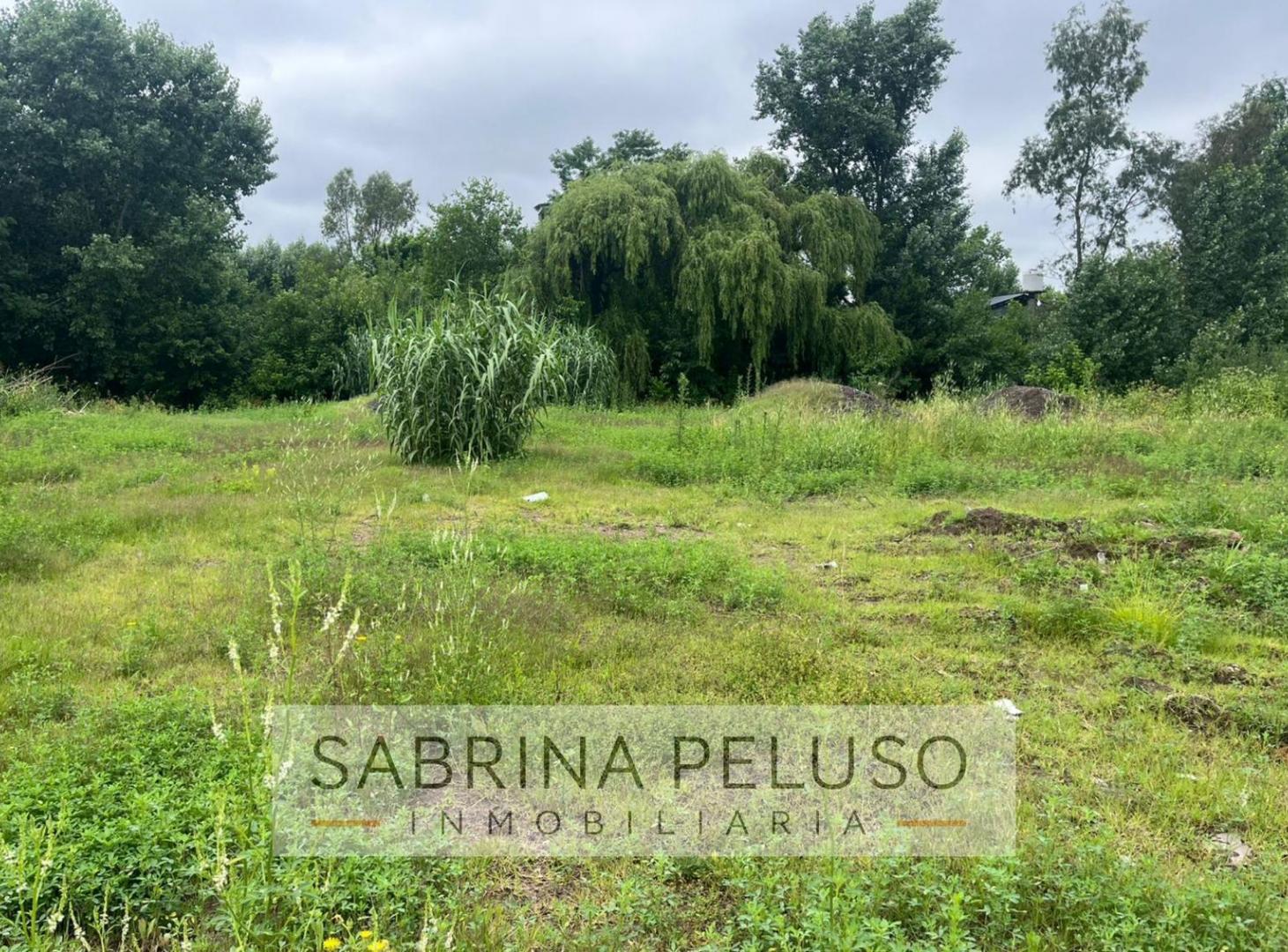 Foto de terreno venta moreno, imagen 2