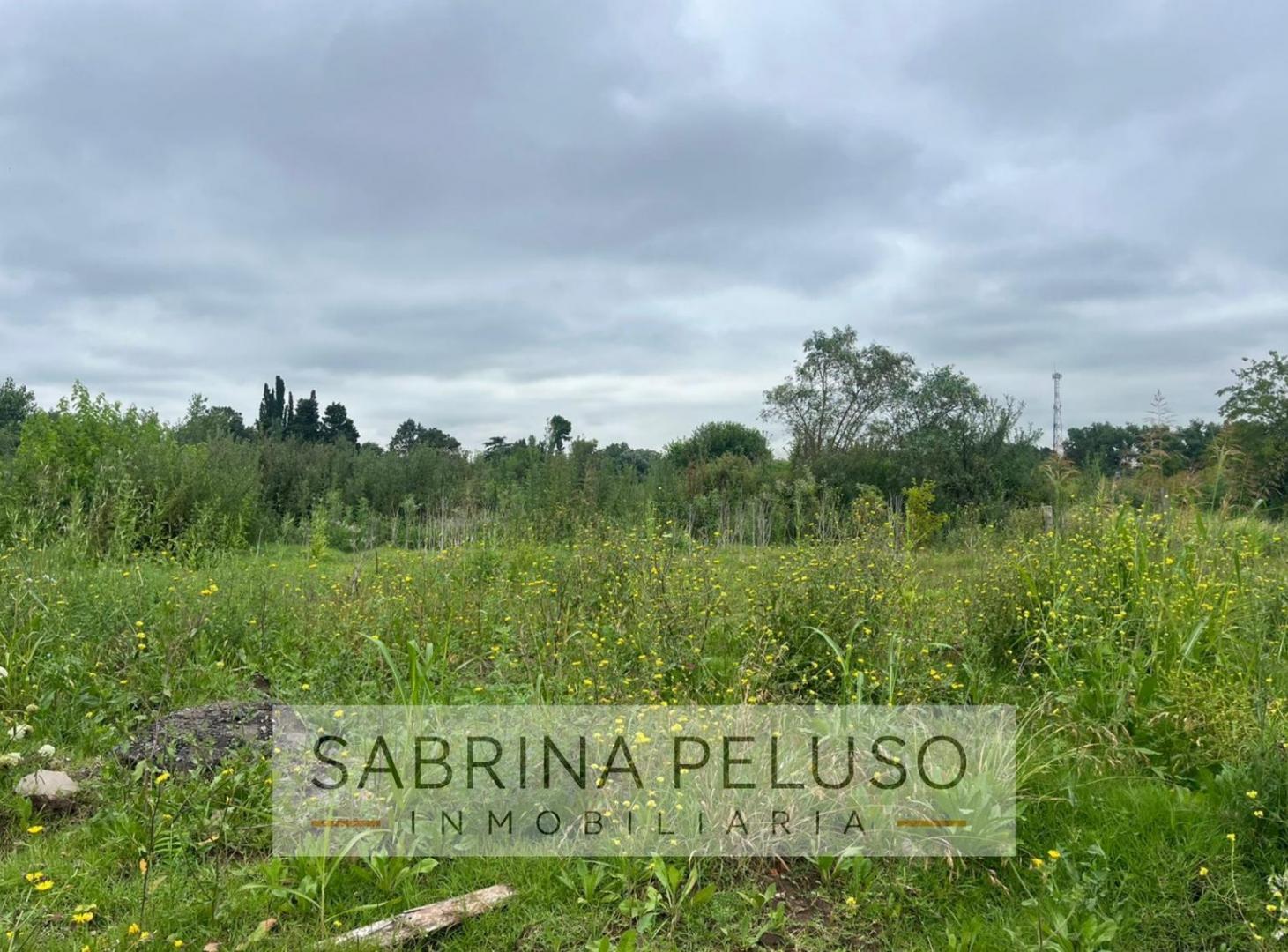 Foto de terreno venta moreno, imagen 4