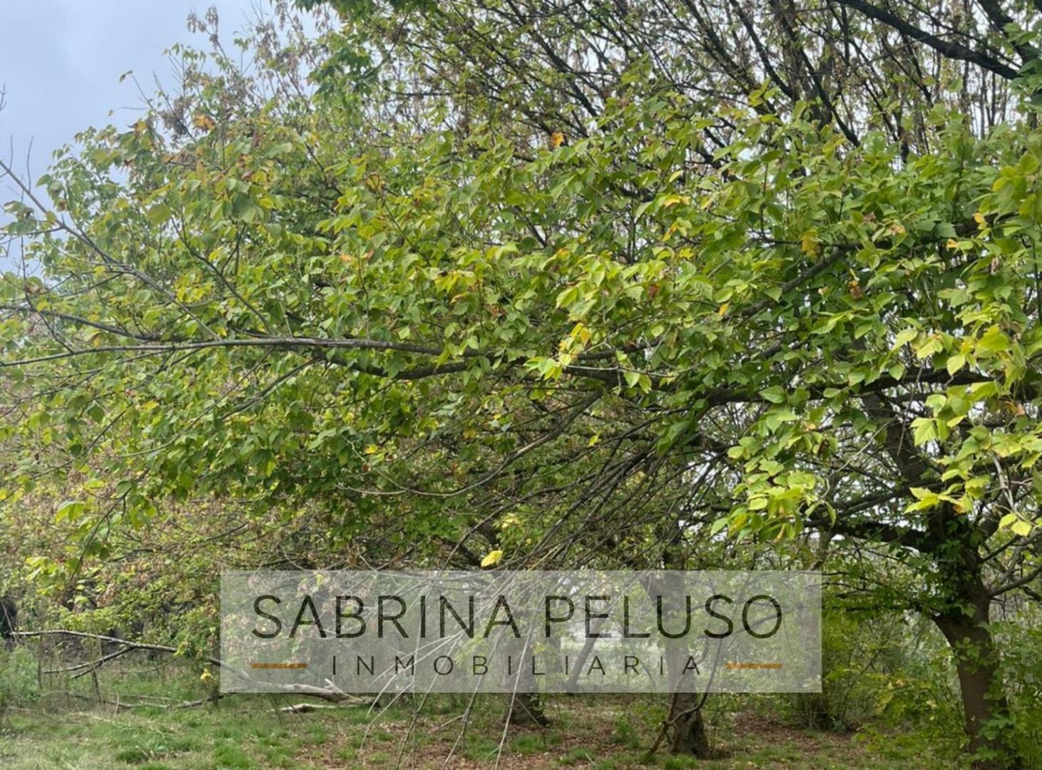 Foto de terreno venta moreno, imagen 4