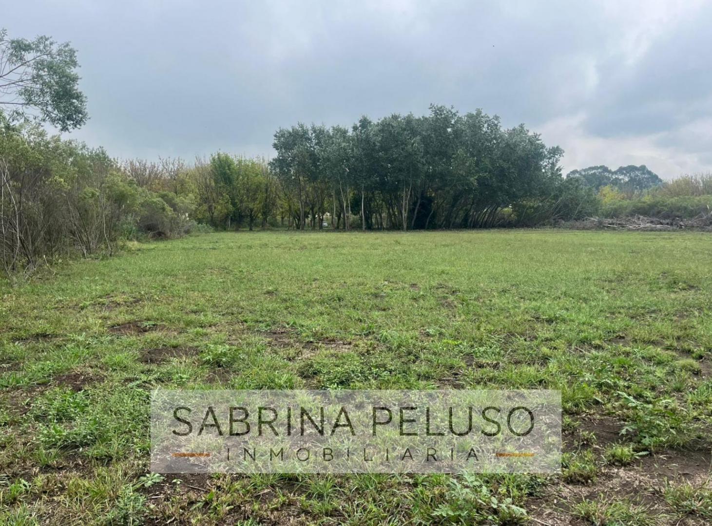 Foto de terreno venta moreno, imagen 3